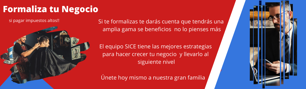 Formaliza tu Negocio